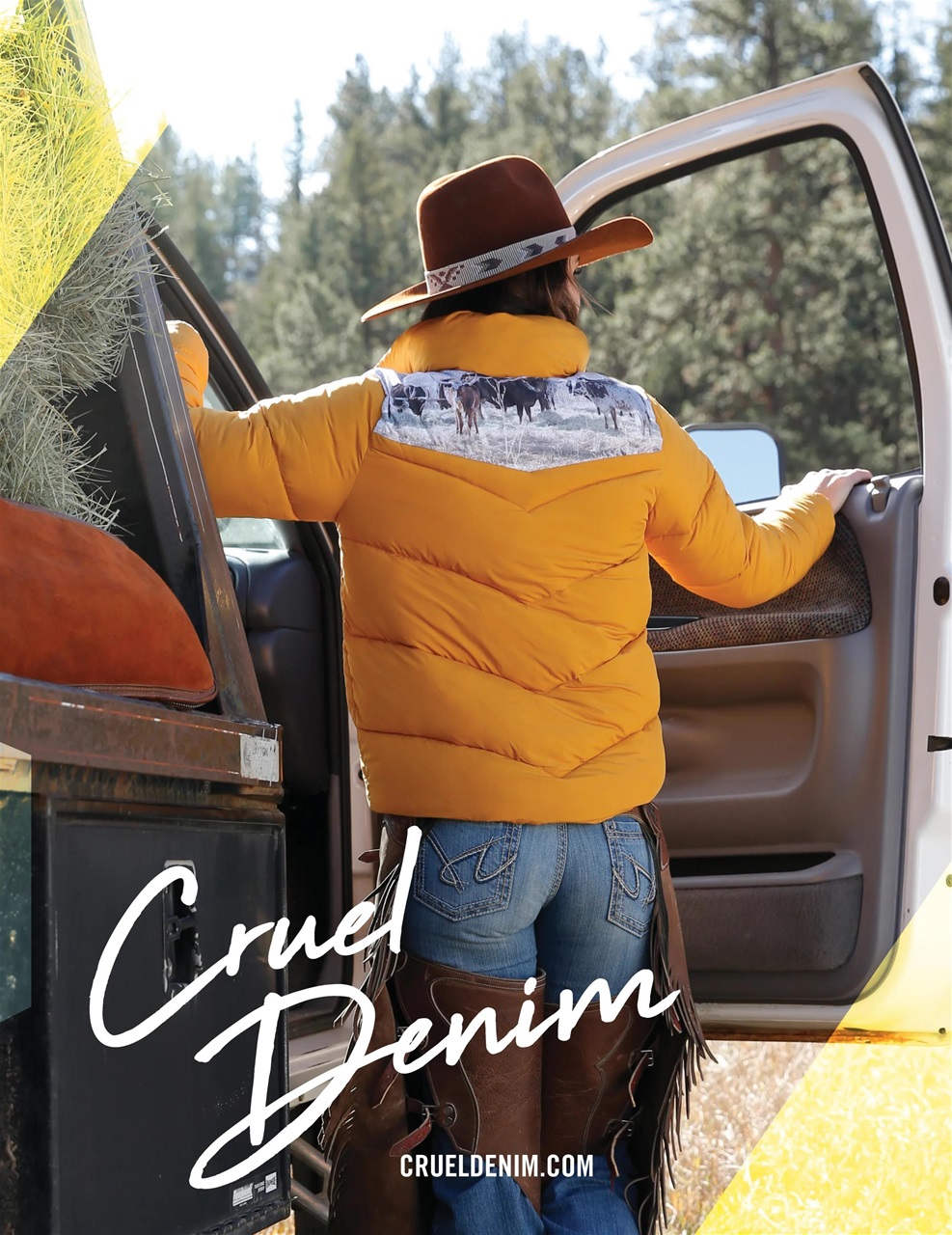 Cowboys and Indians Preview Pages