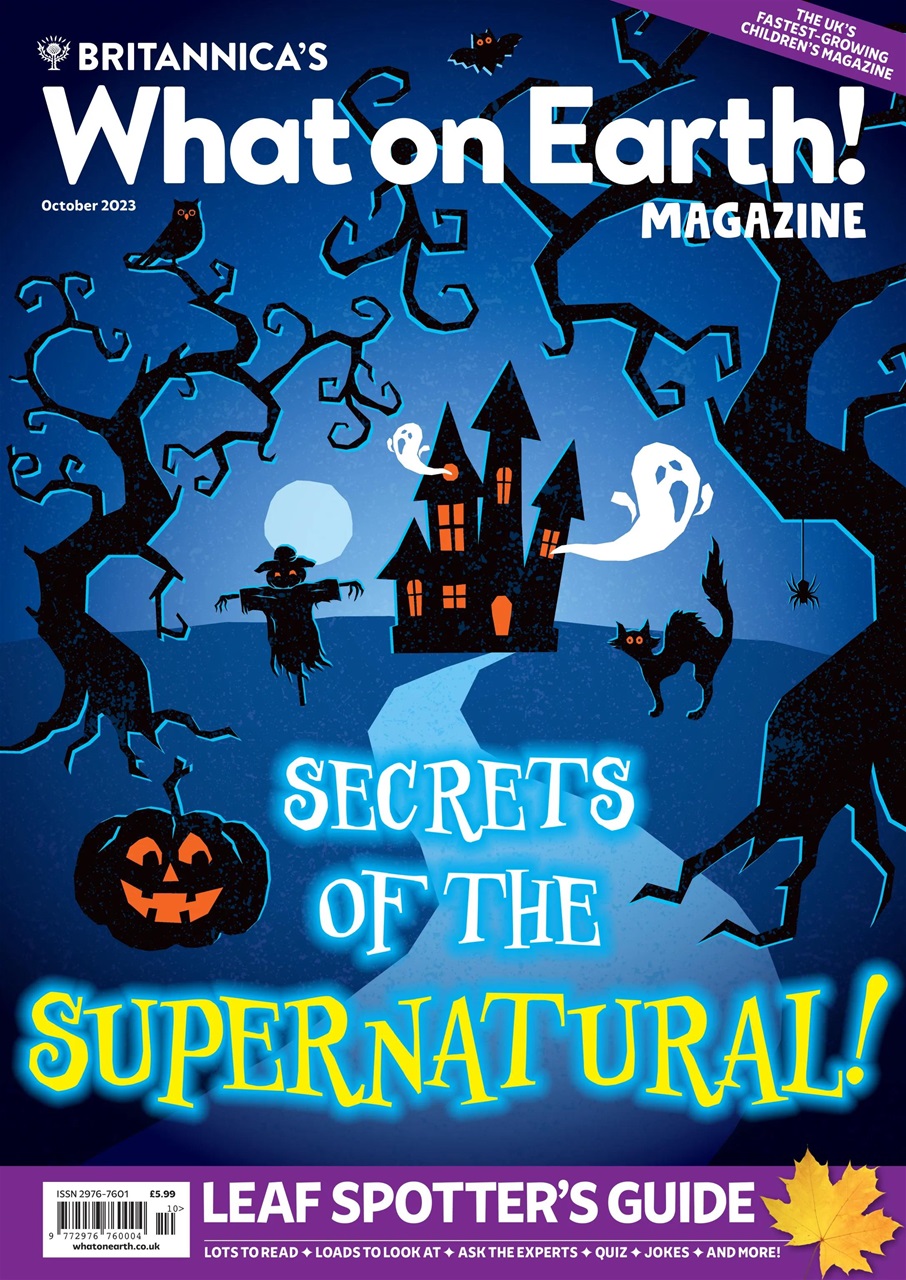 What on Earth! Magazine Preview Pages