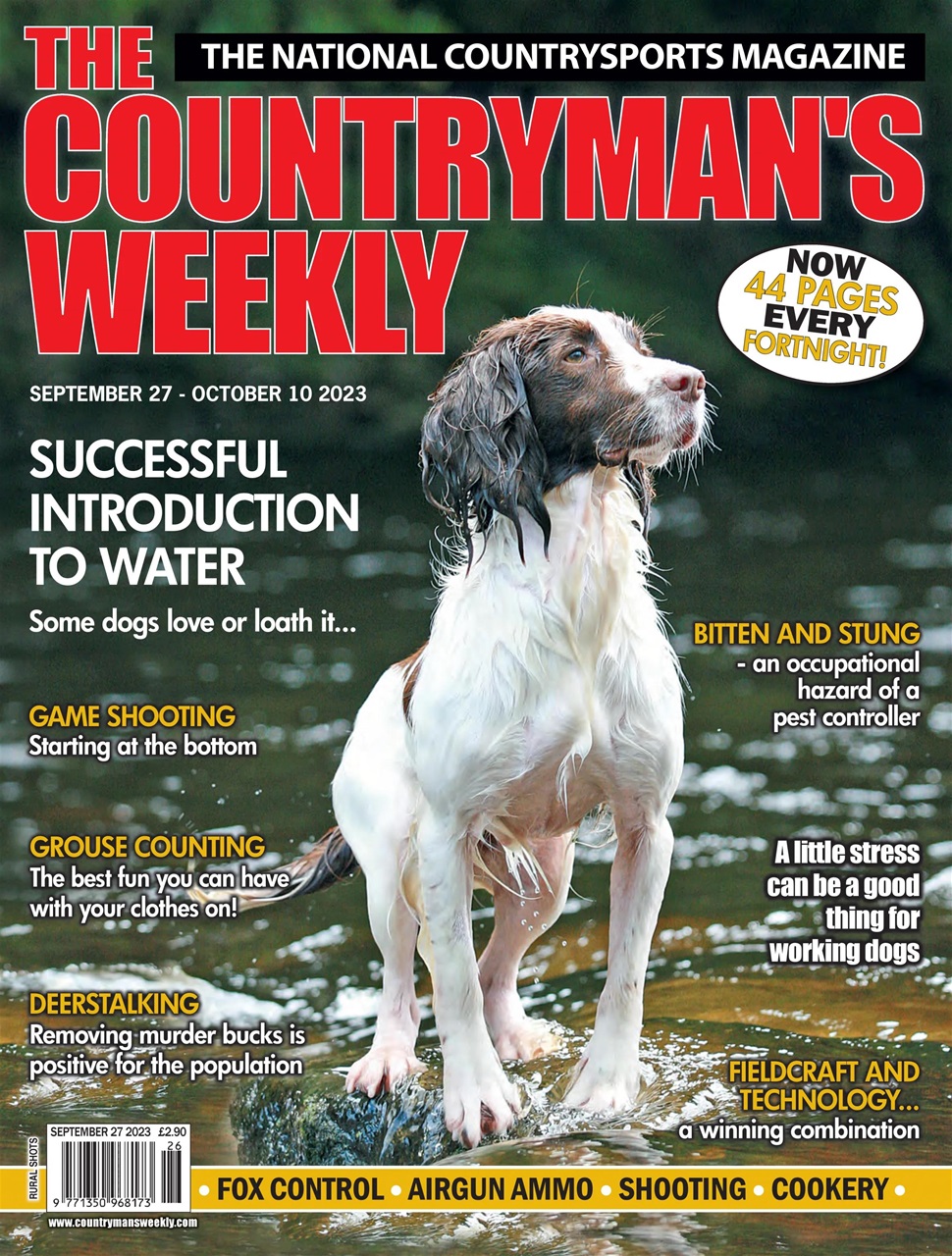 Countryman's Weekly Preview Pages