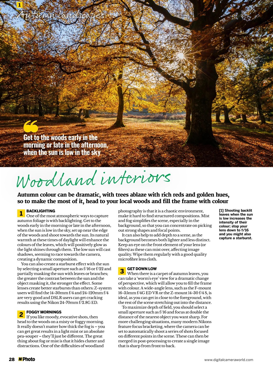 N-Photo Preview Pages