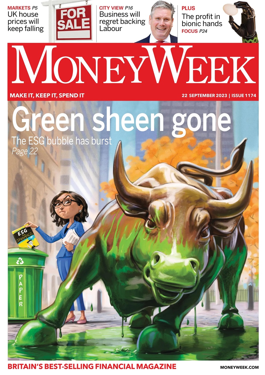 MoneyWeek Preview Pages