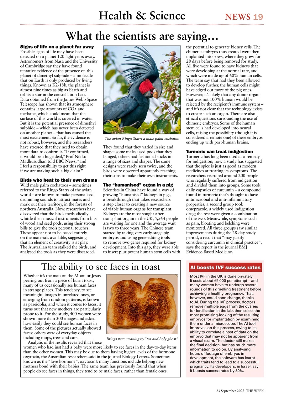 The Week Preview Pages