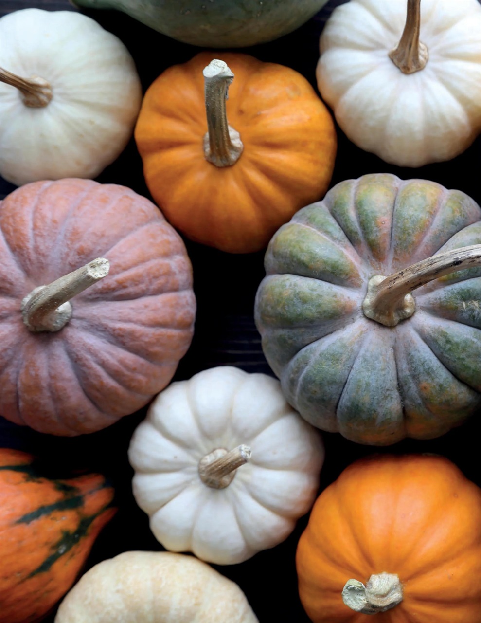 Breathe Preview Pages