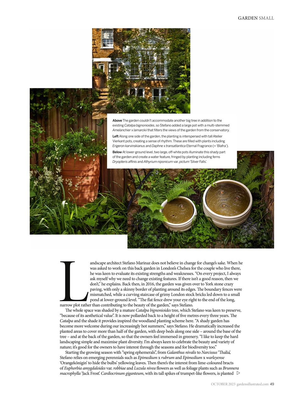 Gardens Illustrated Preview Pages