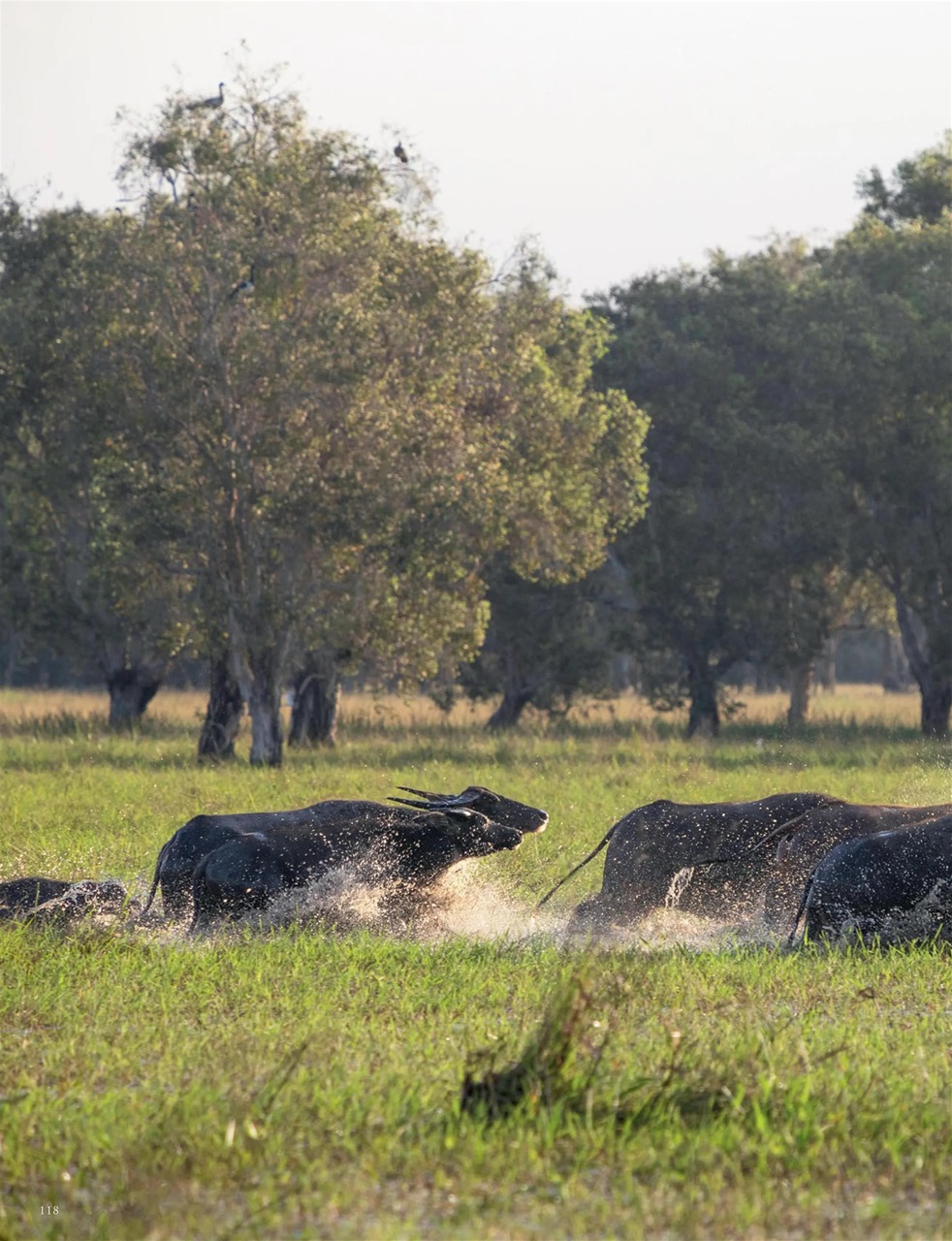 OUTBACK Magazine Preview Pages