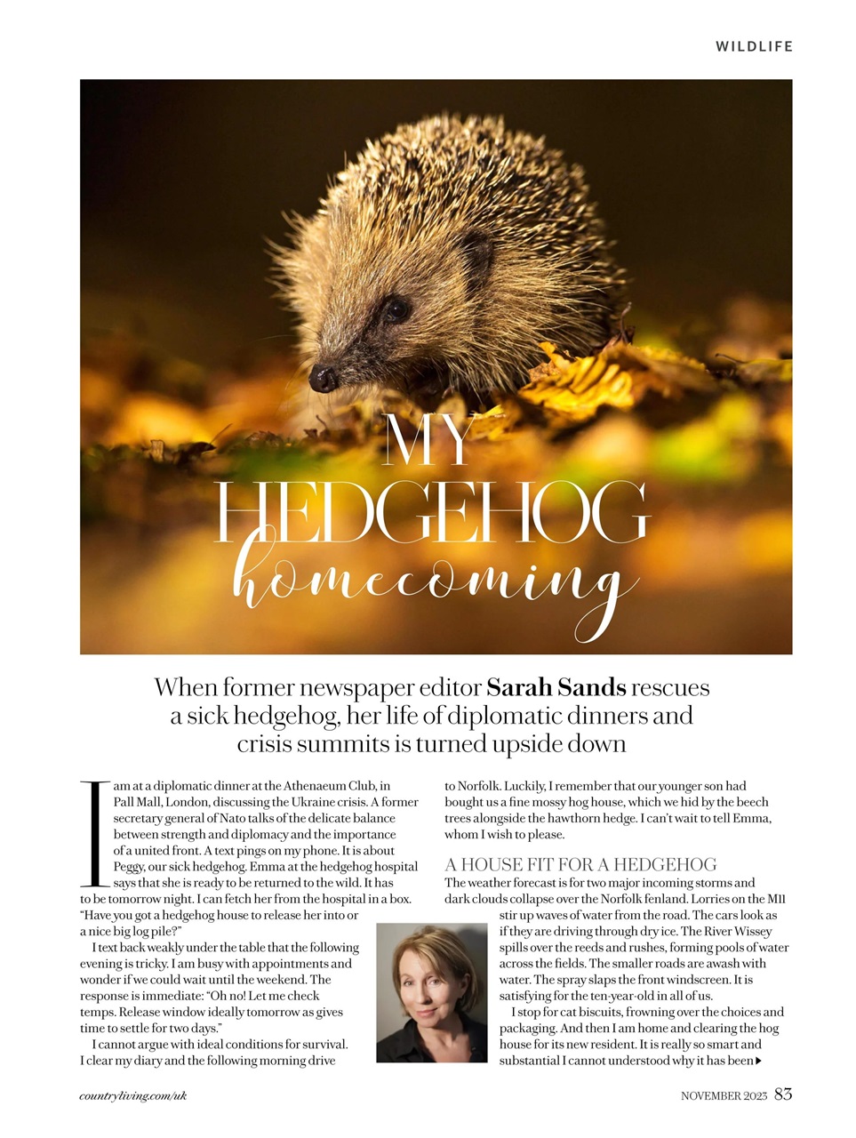 Country Living Preview Pages