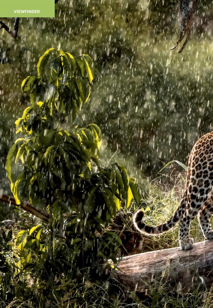 Wanderlust Preview Pages