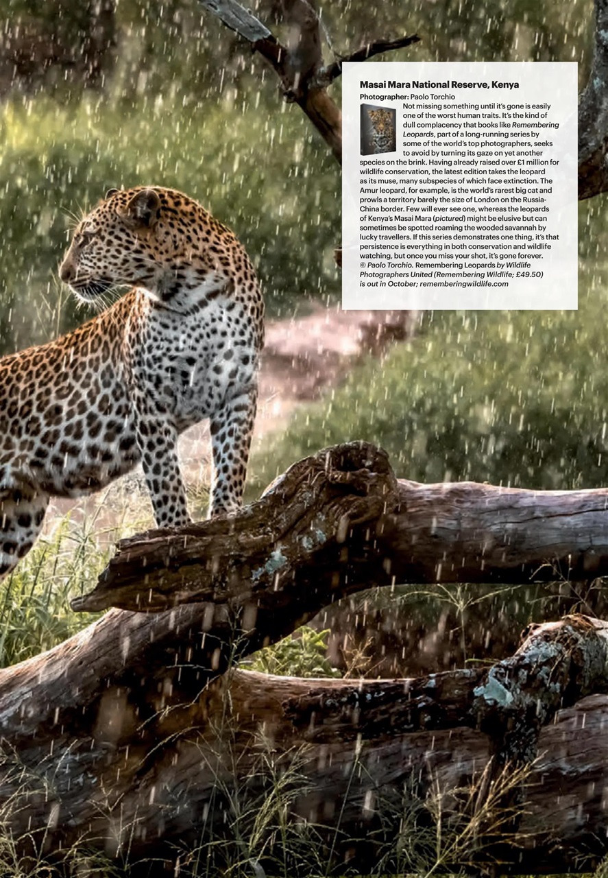 Wanderlust Preview Pages