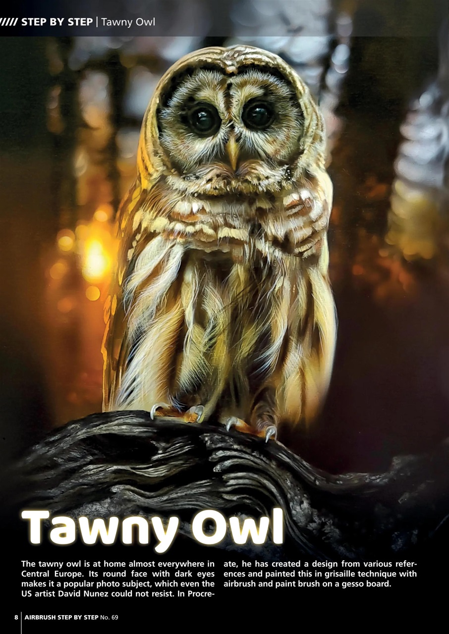 Airbrush Step by Step Preview Pages