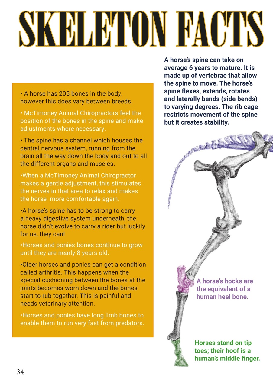 Boys Ride Too Preview Pages