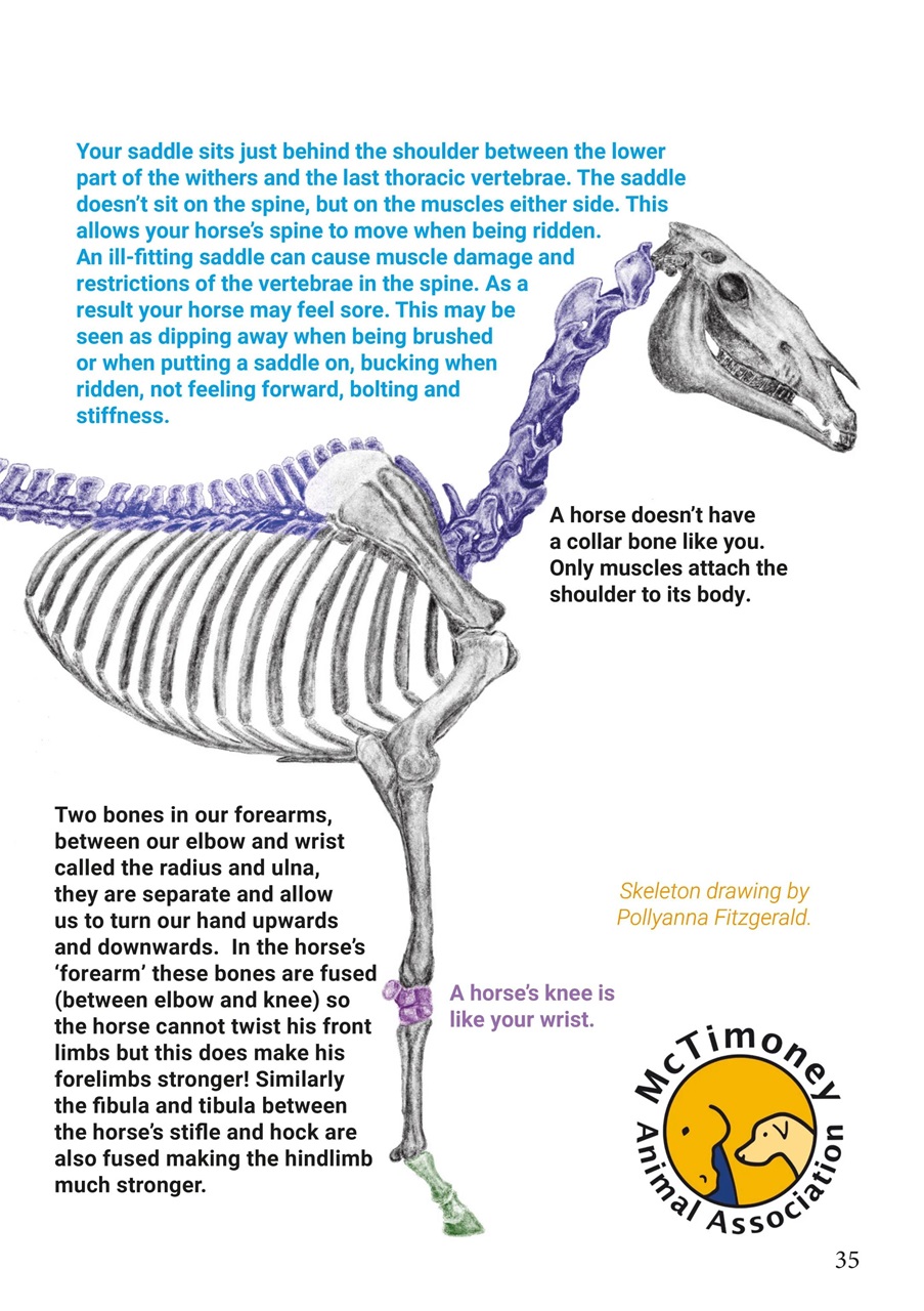 Boys Ride Too Preview Pages