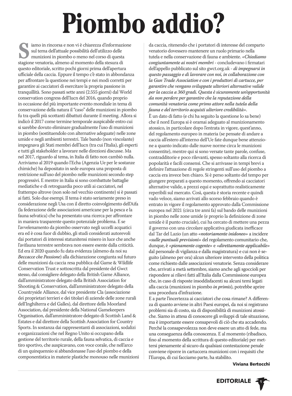 BECCACCE CHE PASSIONE Preview Pages