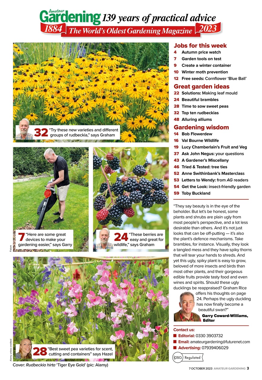 Amateur Gardening Preview Pages