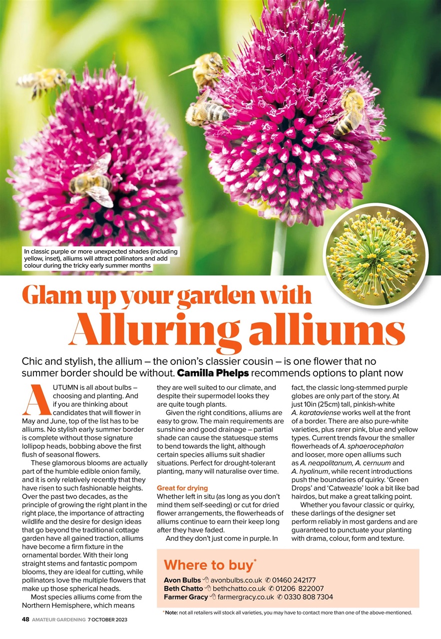 Amateur Gardening Preview Pages