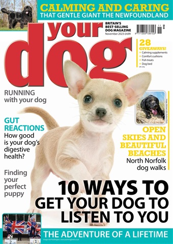 Your Dog issue November 2023