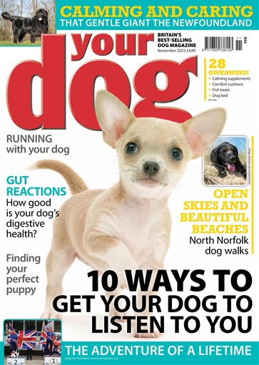 Your Dog issue 