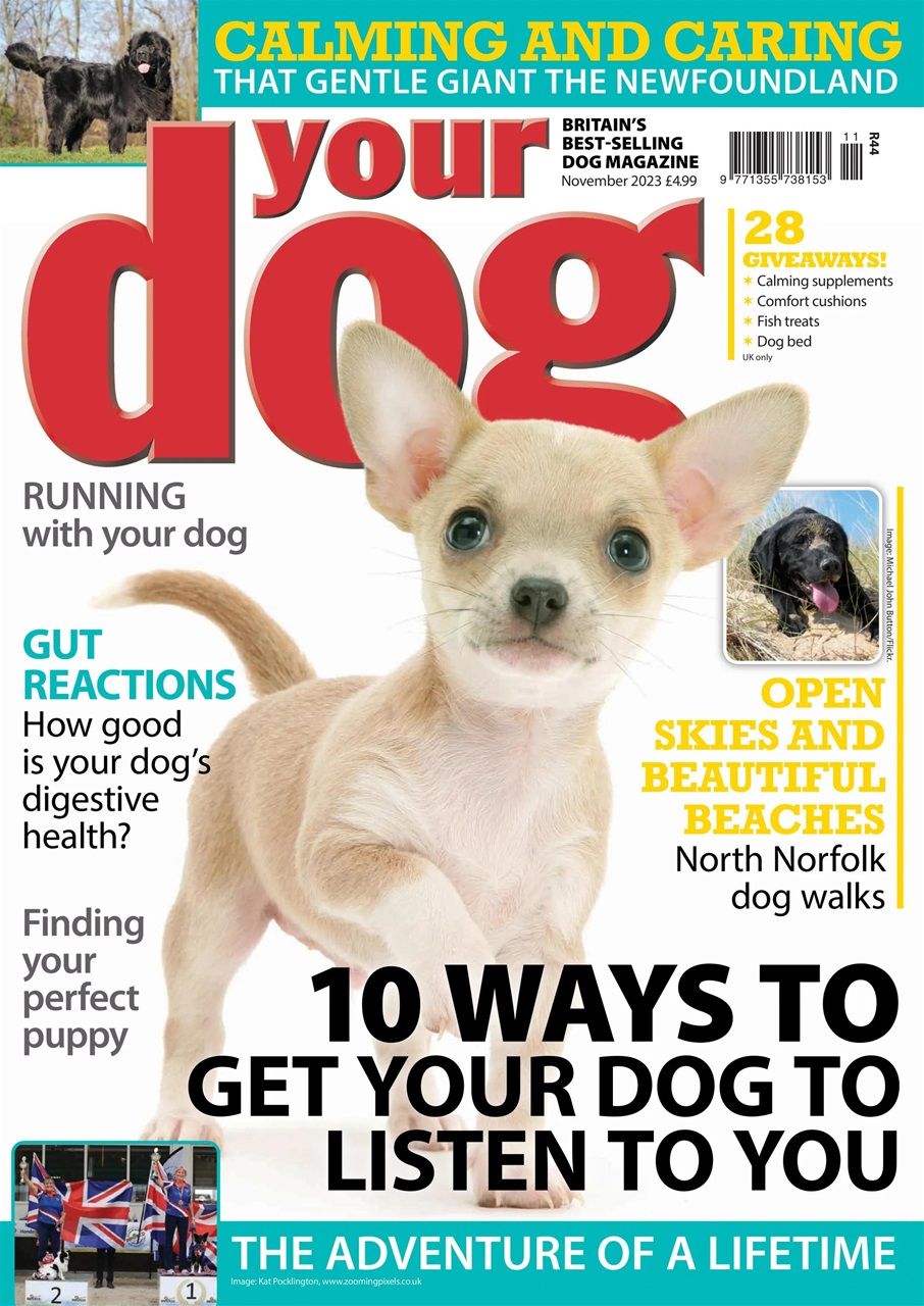 Your Dog Preview Pages