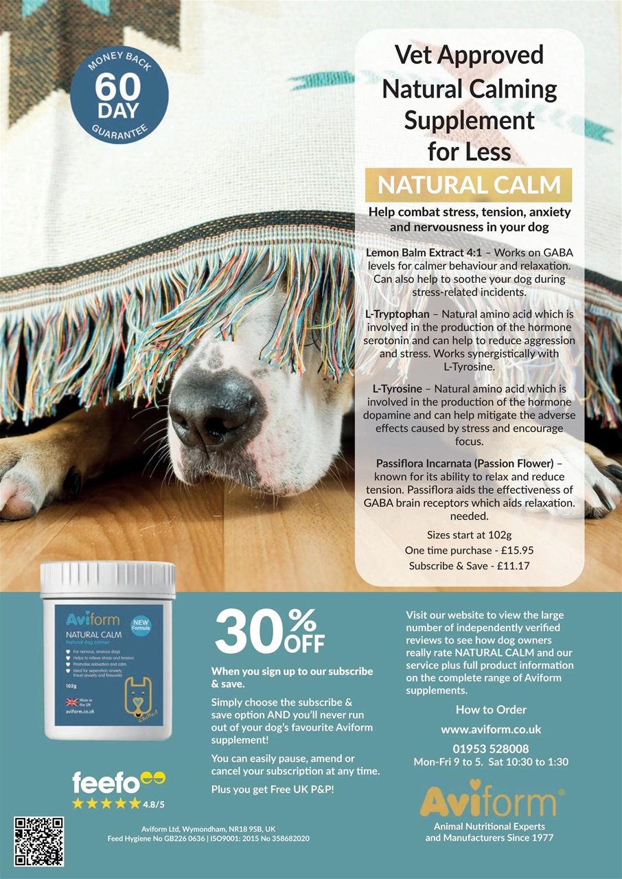 Your Dog Preview Pages