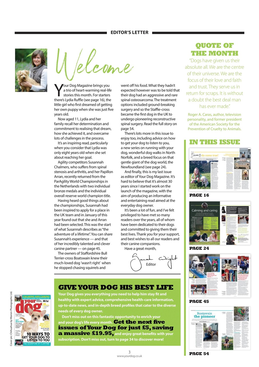 Your Dog Preview Pages