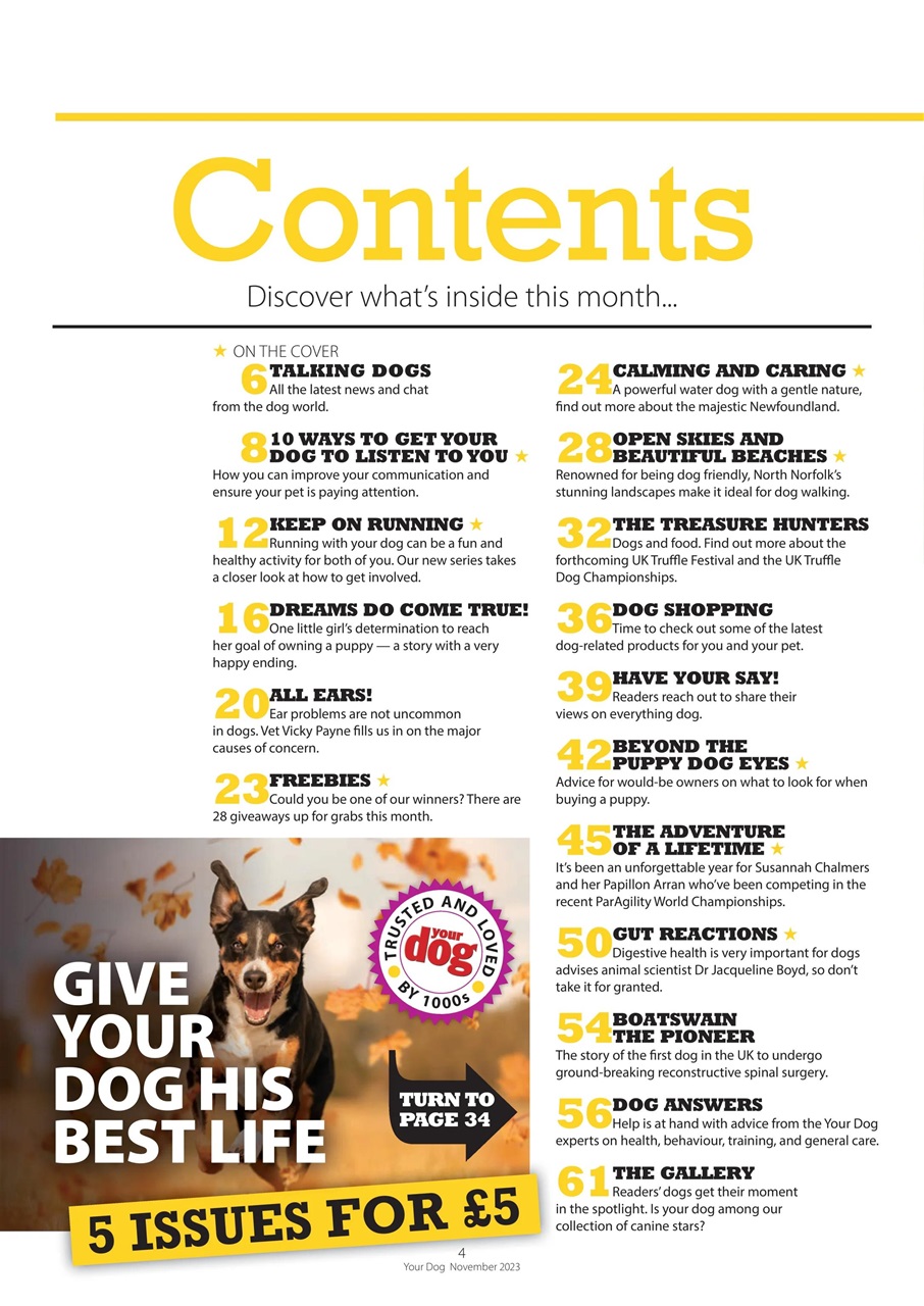 Your Dog Preview Pages