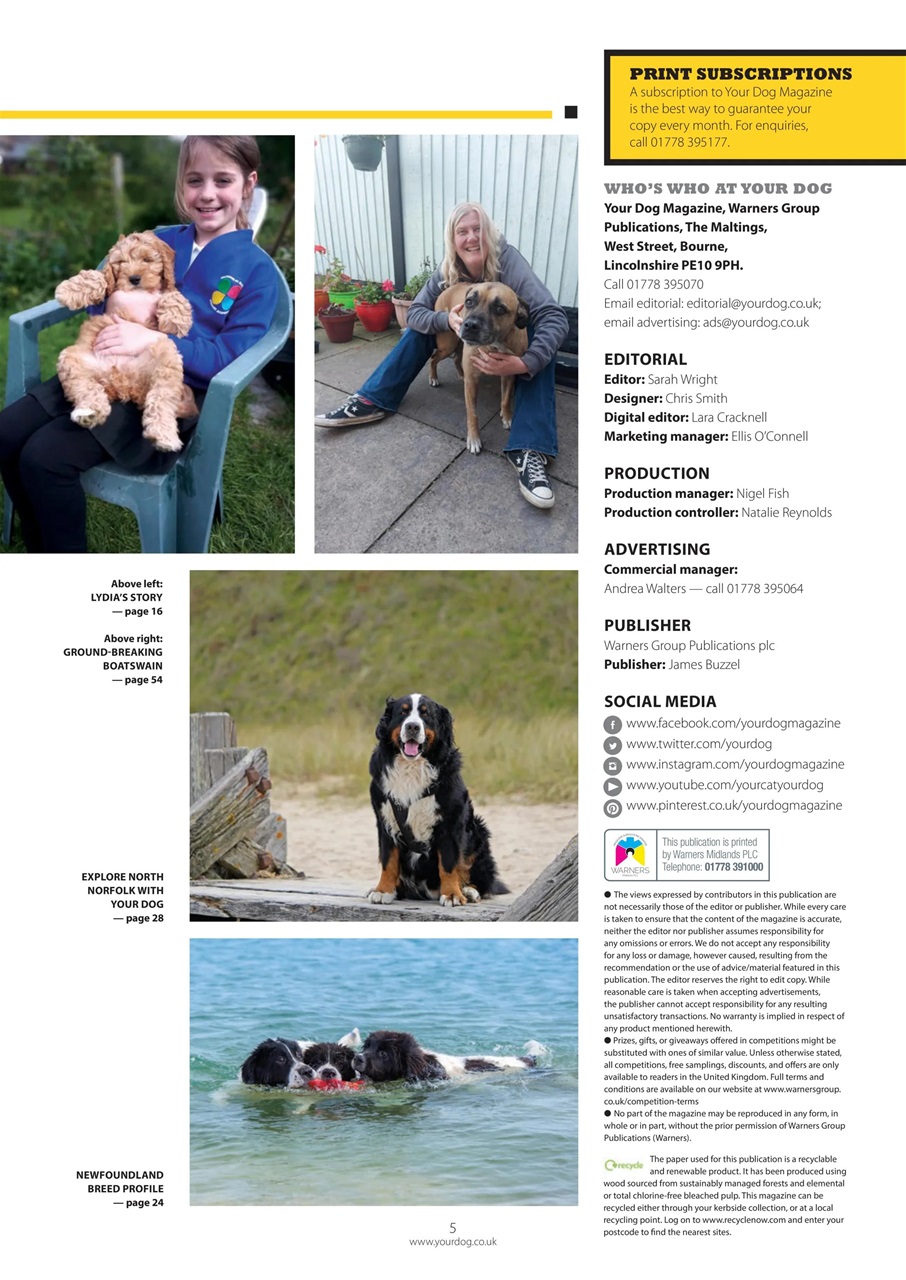 Your Dog Preview Pages