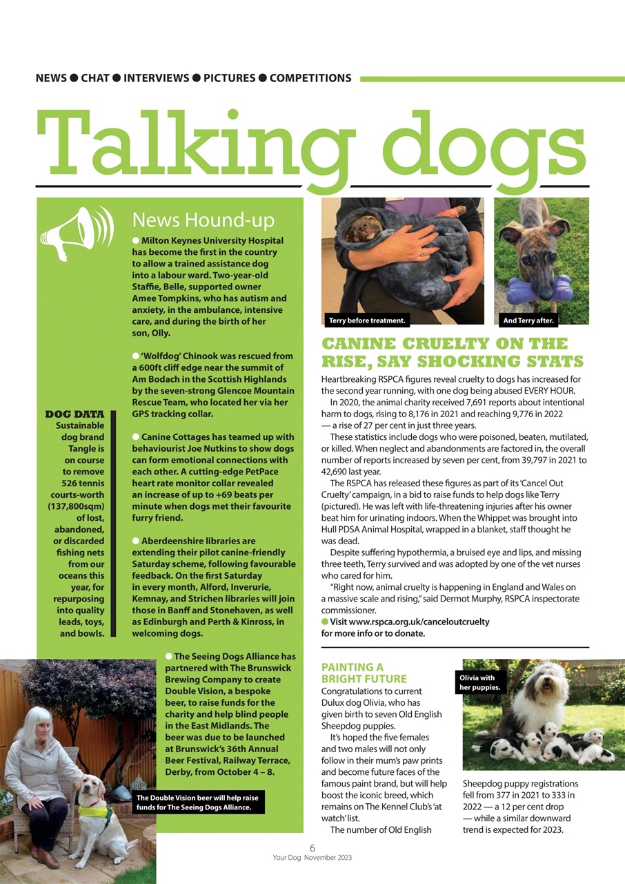 Your Dog Preview Pages
