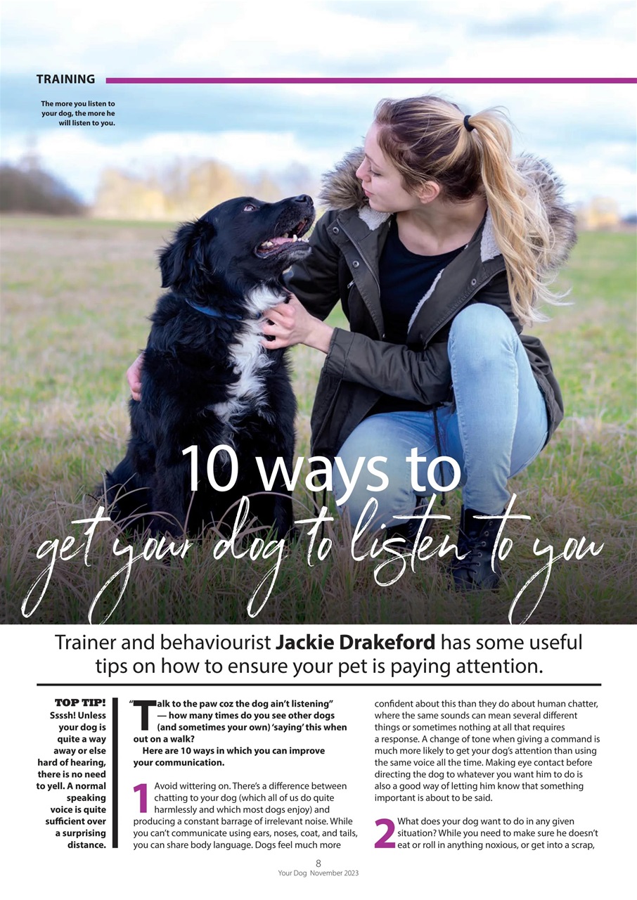 Your Dog Preview Pages