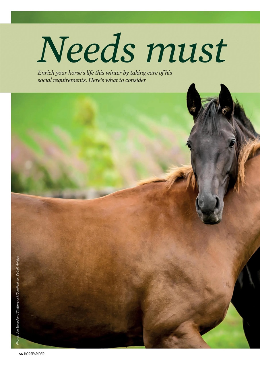 Horse&Rider Magazine - UK equestrian magazine for Horse and Rider Preview Pages