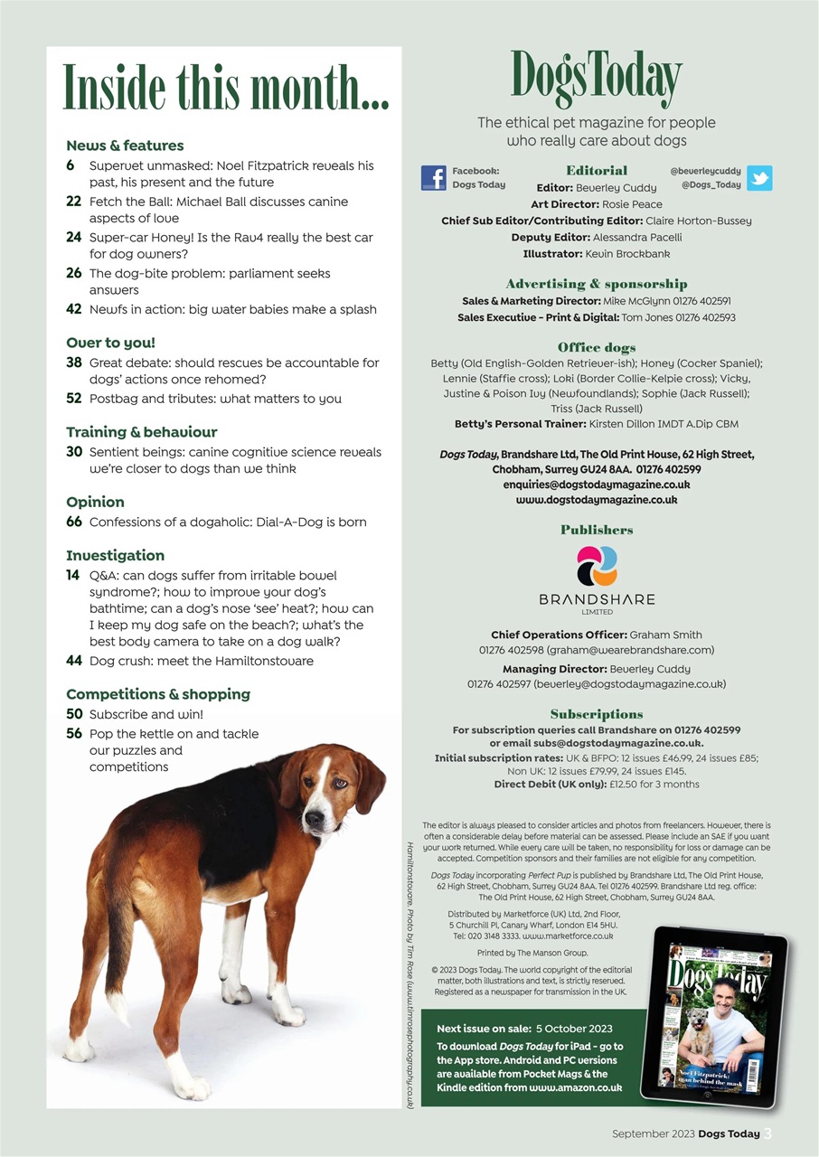 Dogs Today Magazine Preview Pages