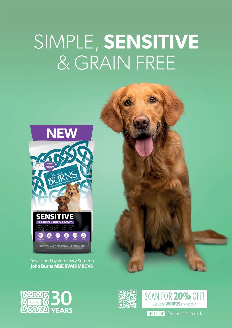 Dogs Today Magazine Preview Pages
