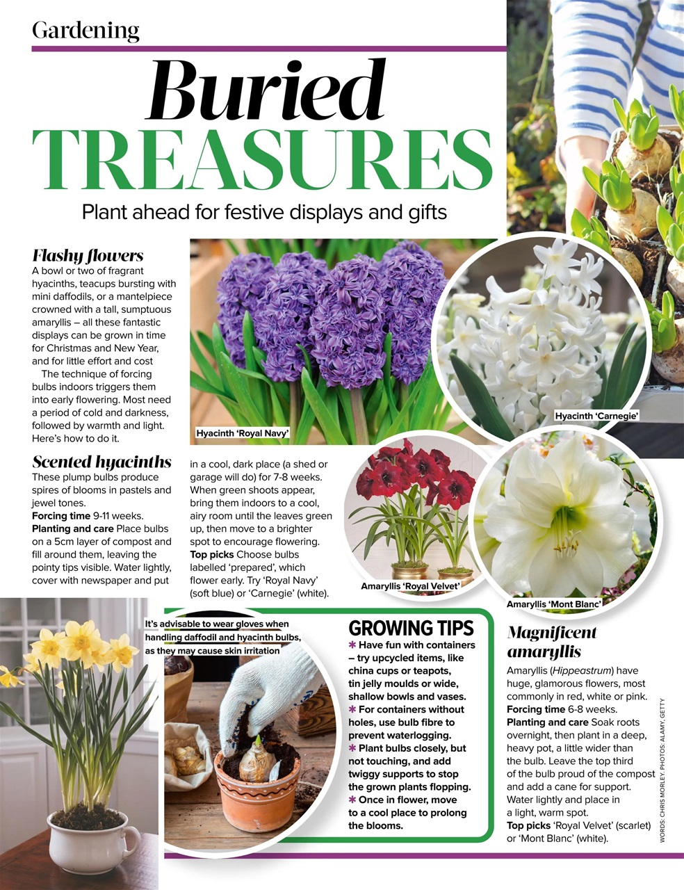 Woman's Weekly Preview Pages