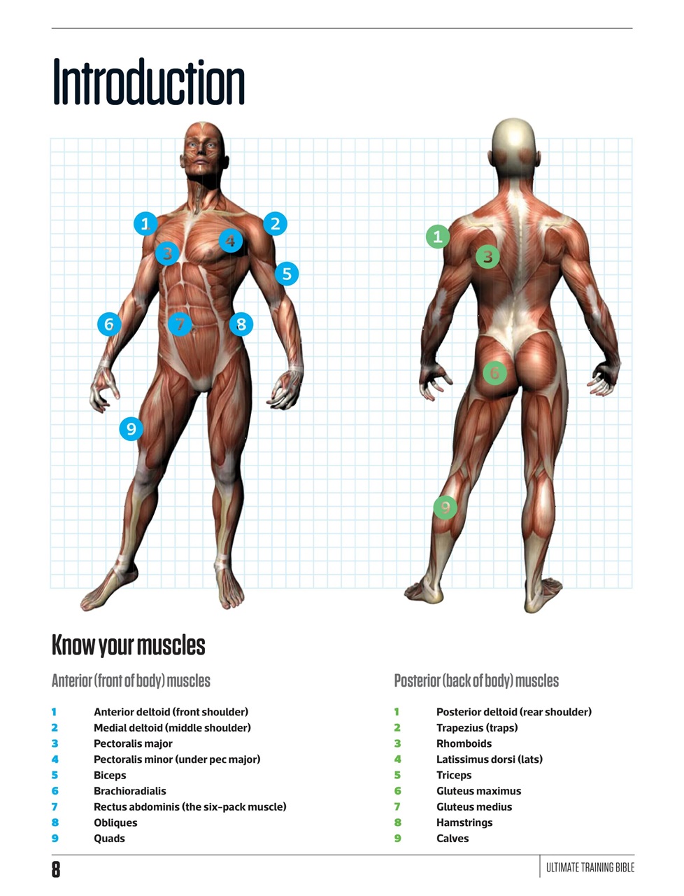 Men's Fitness Preview Pages