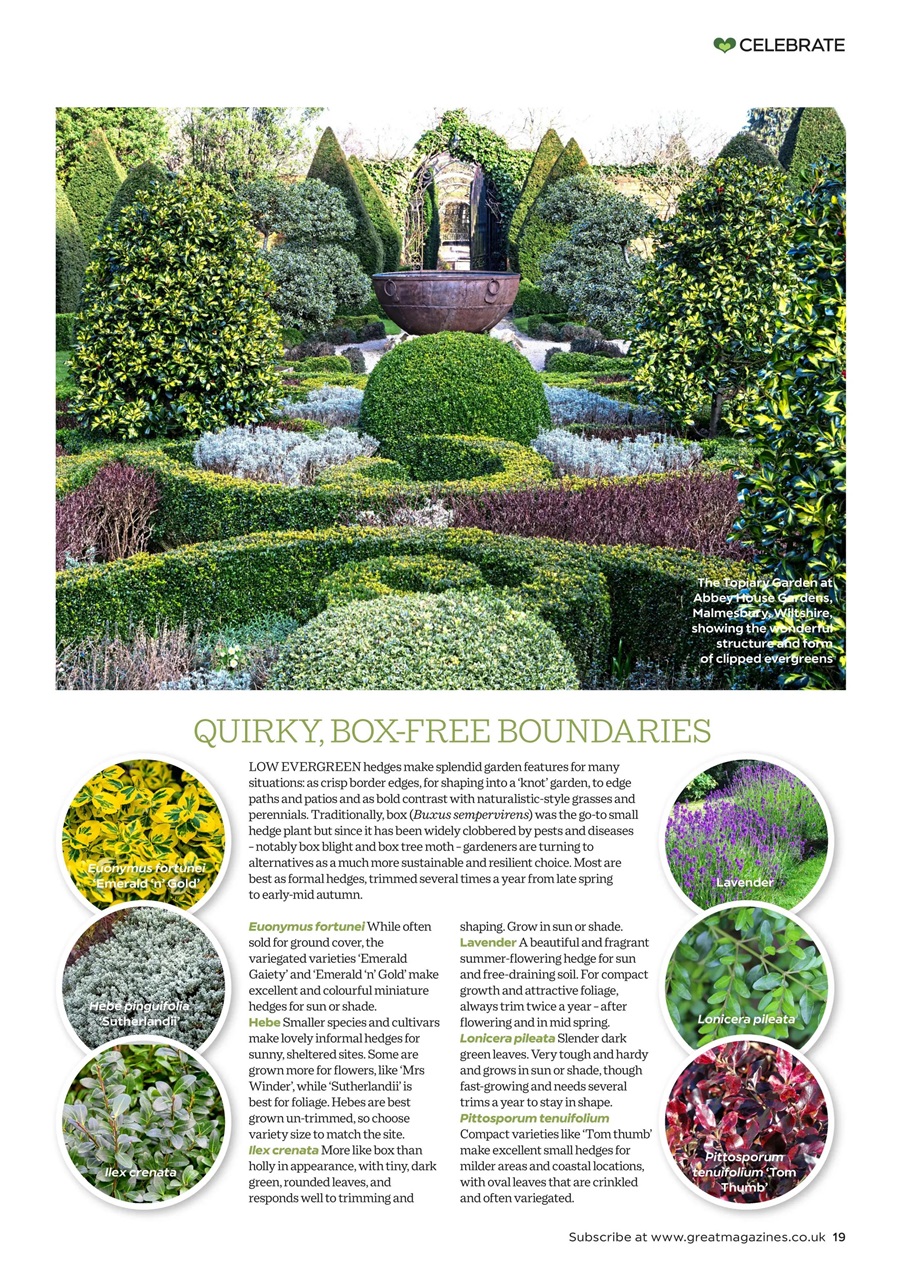 Garden Answers Preview Pages