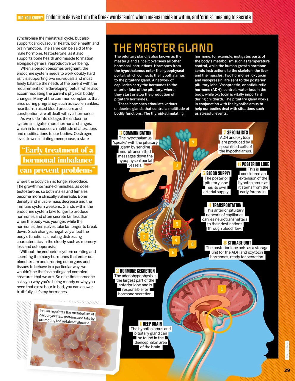 How It Works Preview Pages