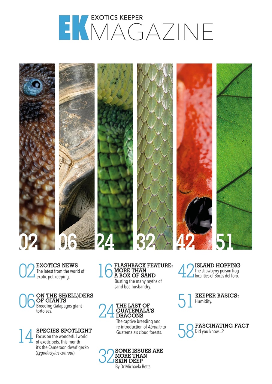 Exotics Keeper Preview Pages