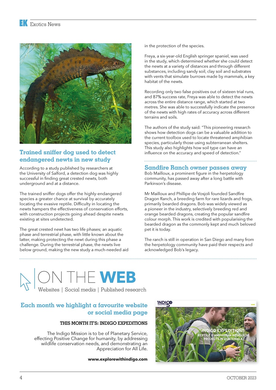 Exotics Keeper Preview Pages