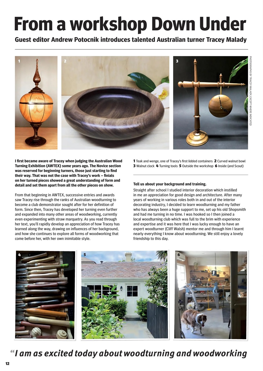 Woodturning Preview Pages