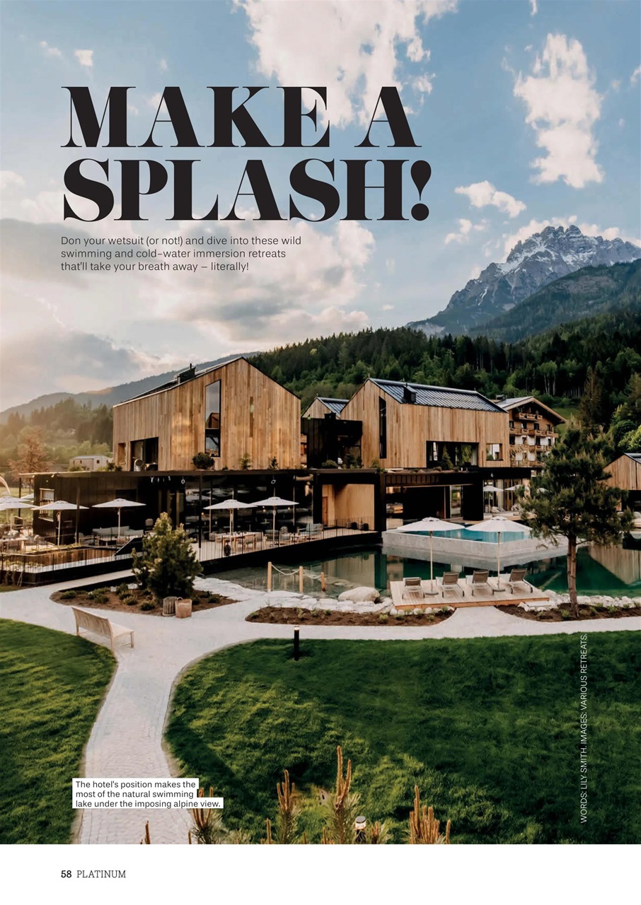 Platinum Preview Pages