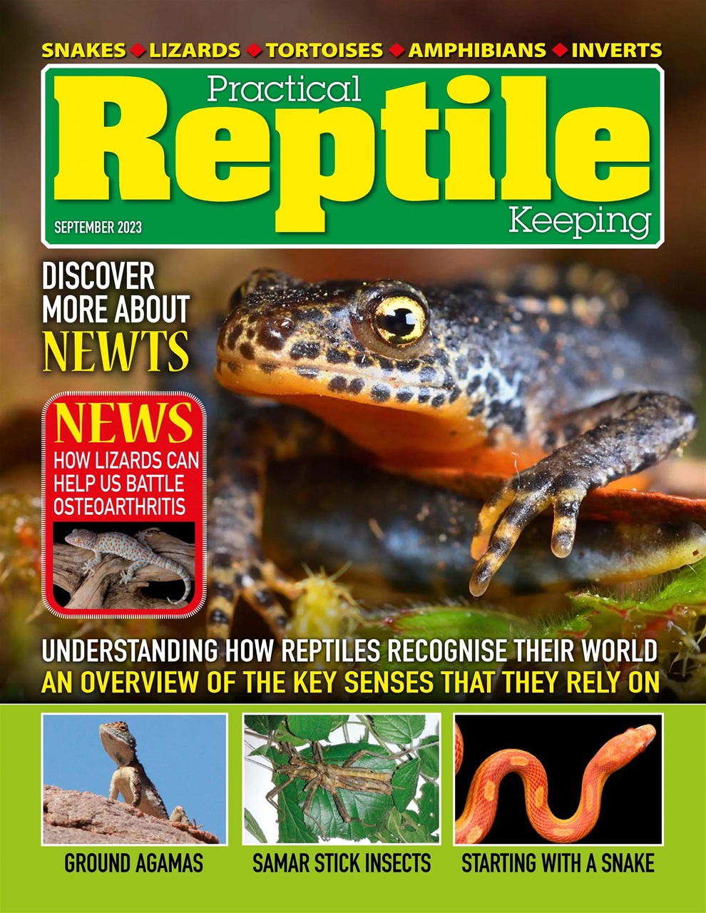Practical Reptile Keeping Preview Pages