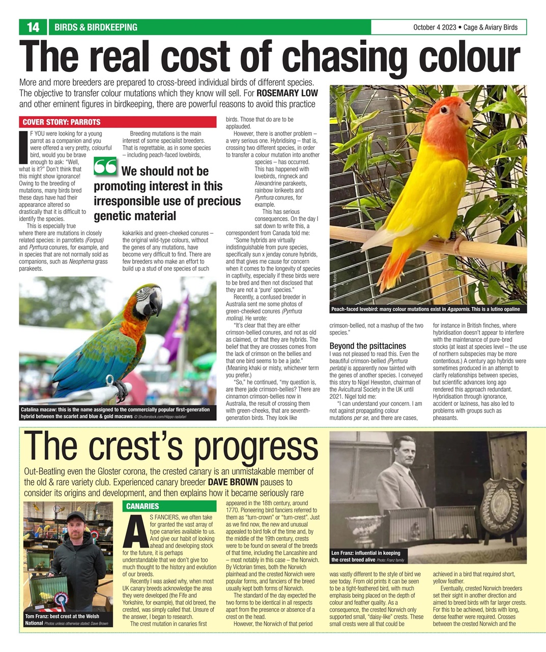 Cage & Aviary Birds Preview Pages