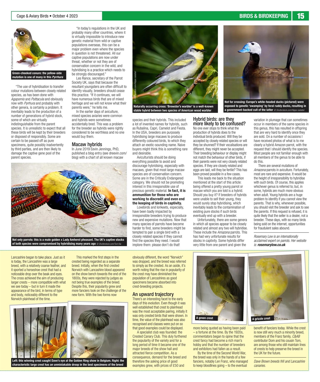 Cage & Aviary Birds Preview Pages