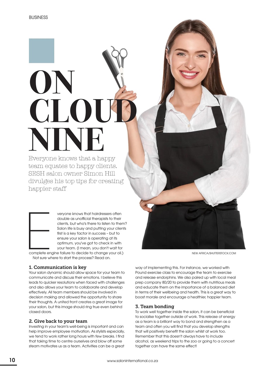 Salon International Preview Pages