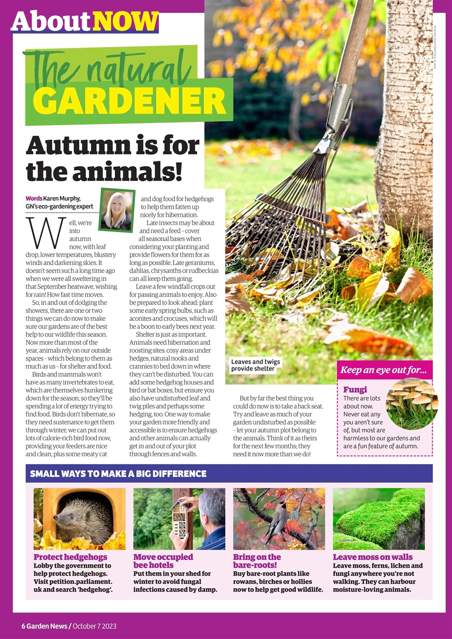 Garden News Preview Pages
