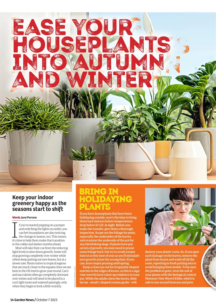 Garden News Preview Pages