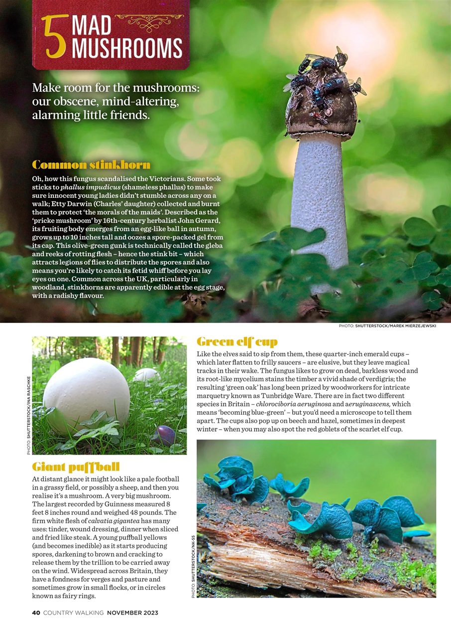 Country Walking Preview Pages