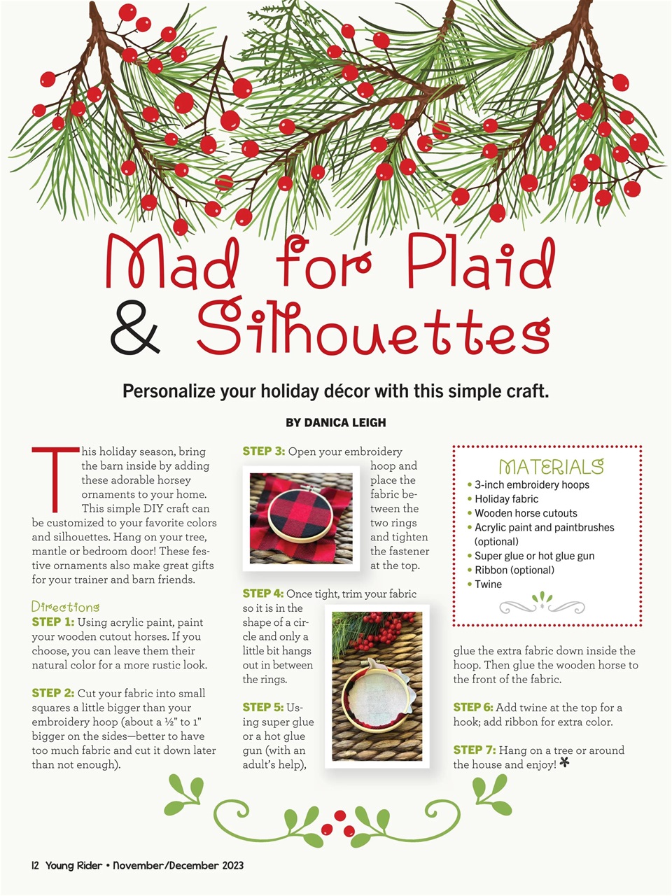 Young Rider Magazine Preview Pages