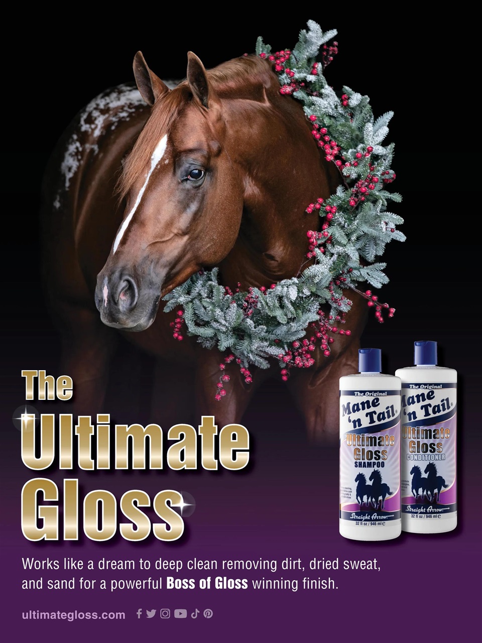 Young Rider Magazine Preview Pages