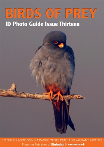 Bird ID Photo Guides issue Bird ID Photo Guides