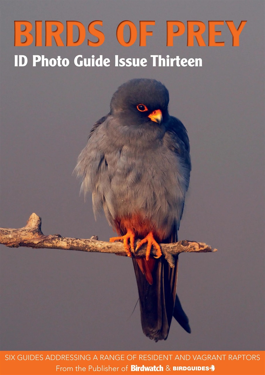 Bird ID Photo Guides Preview Pages
