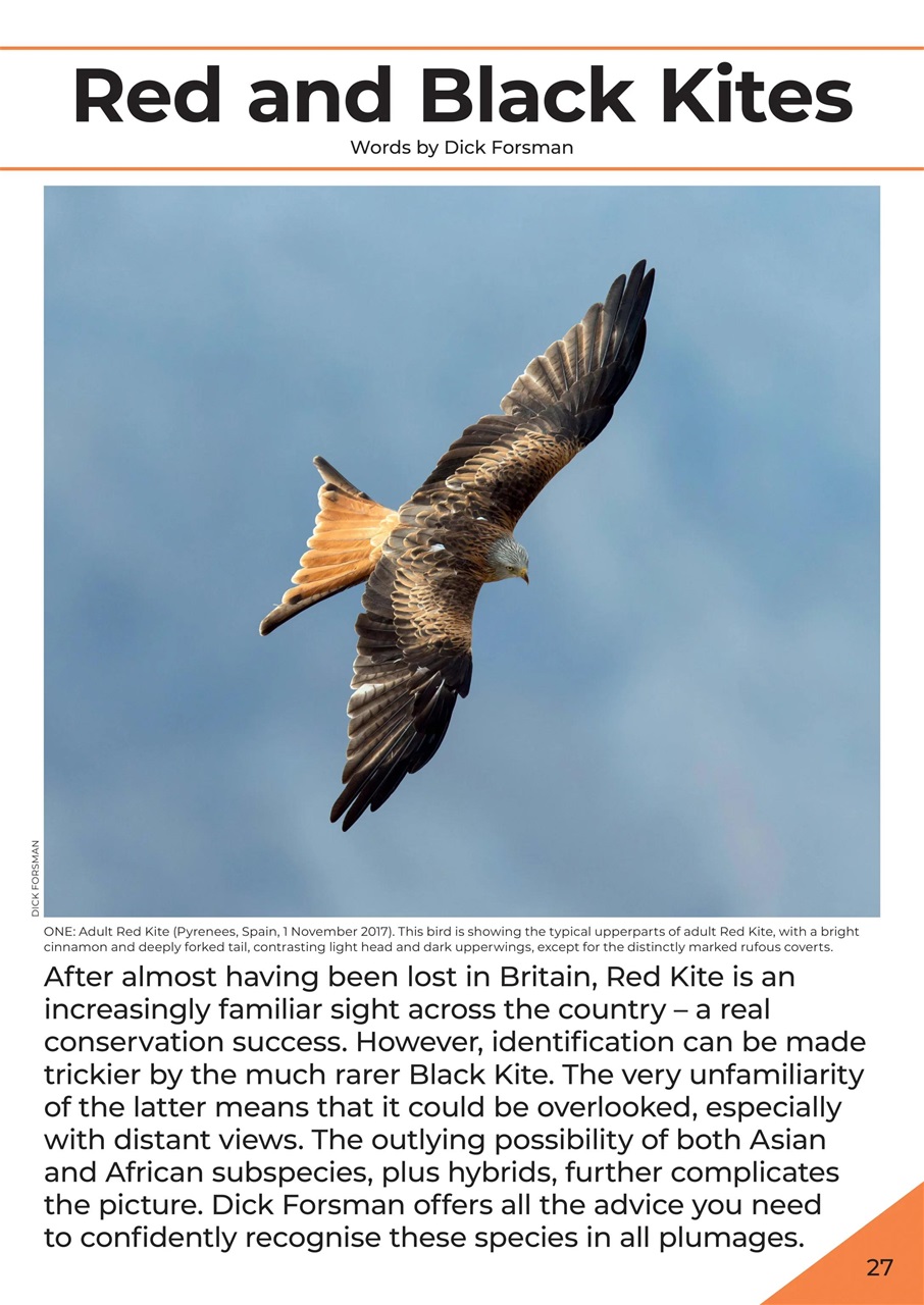 Bird ID Photo Guides Preview Pages